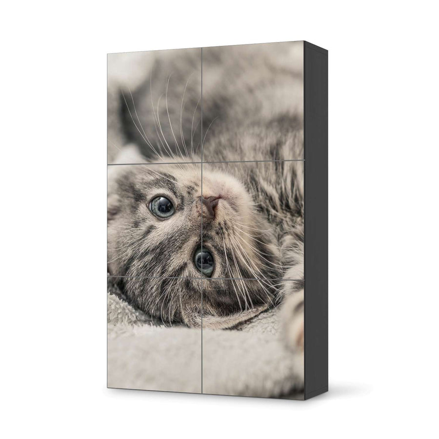 Möbel Klebefolie Kitty the Cat - IKEA Besta Schrank Hoch 6 Türen - schwarz