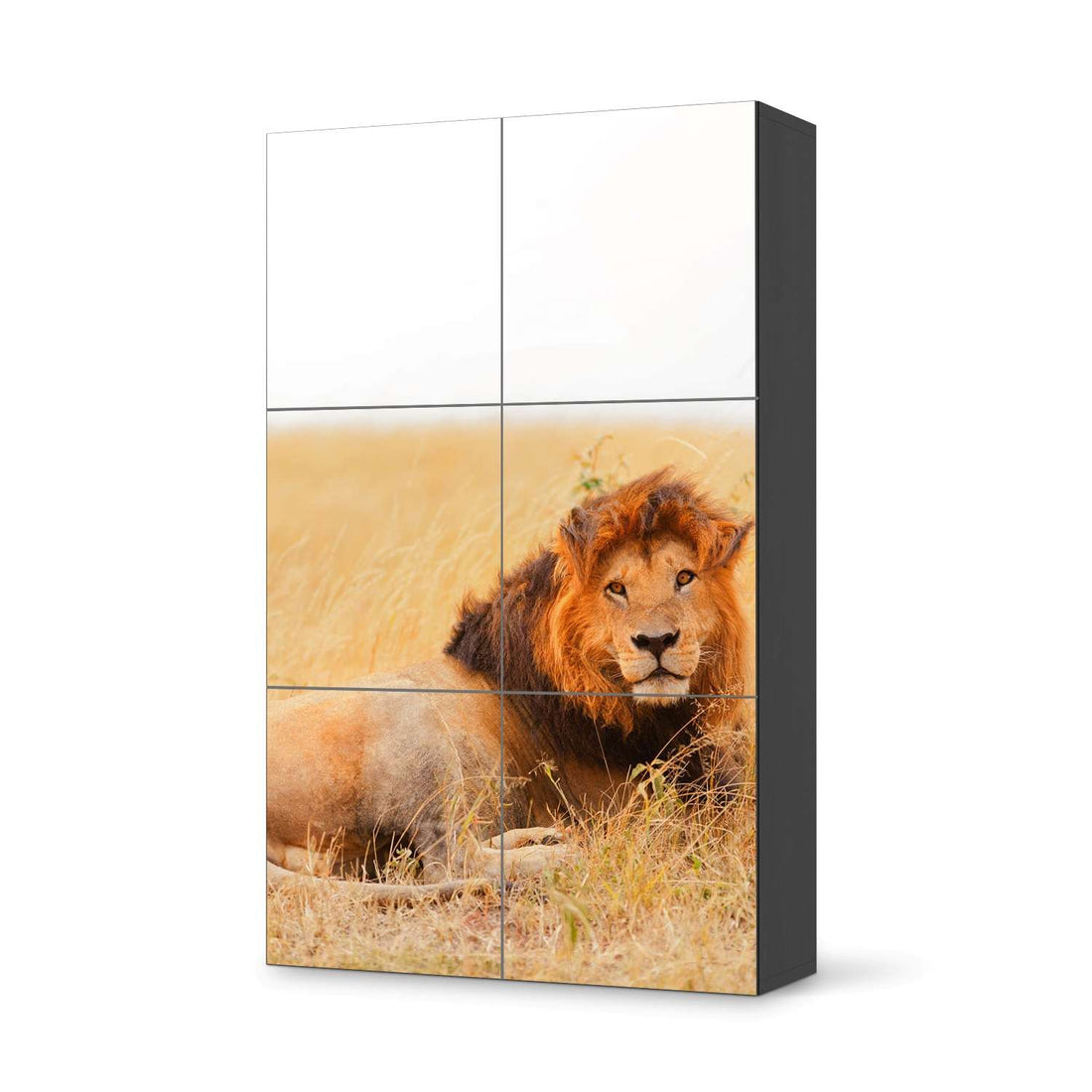 Möbel Klebefolie Lion King - IKEA Besta Schrank Hoch 6 Türen - schwarz