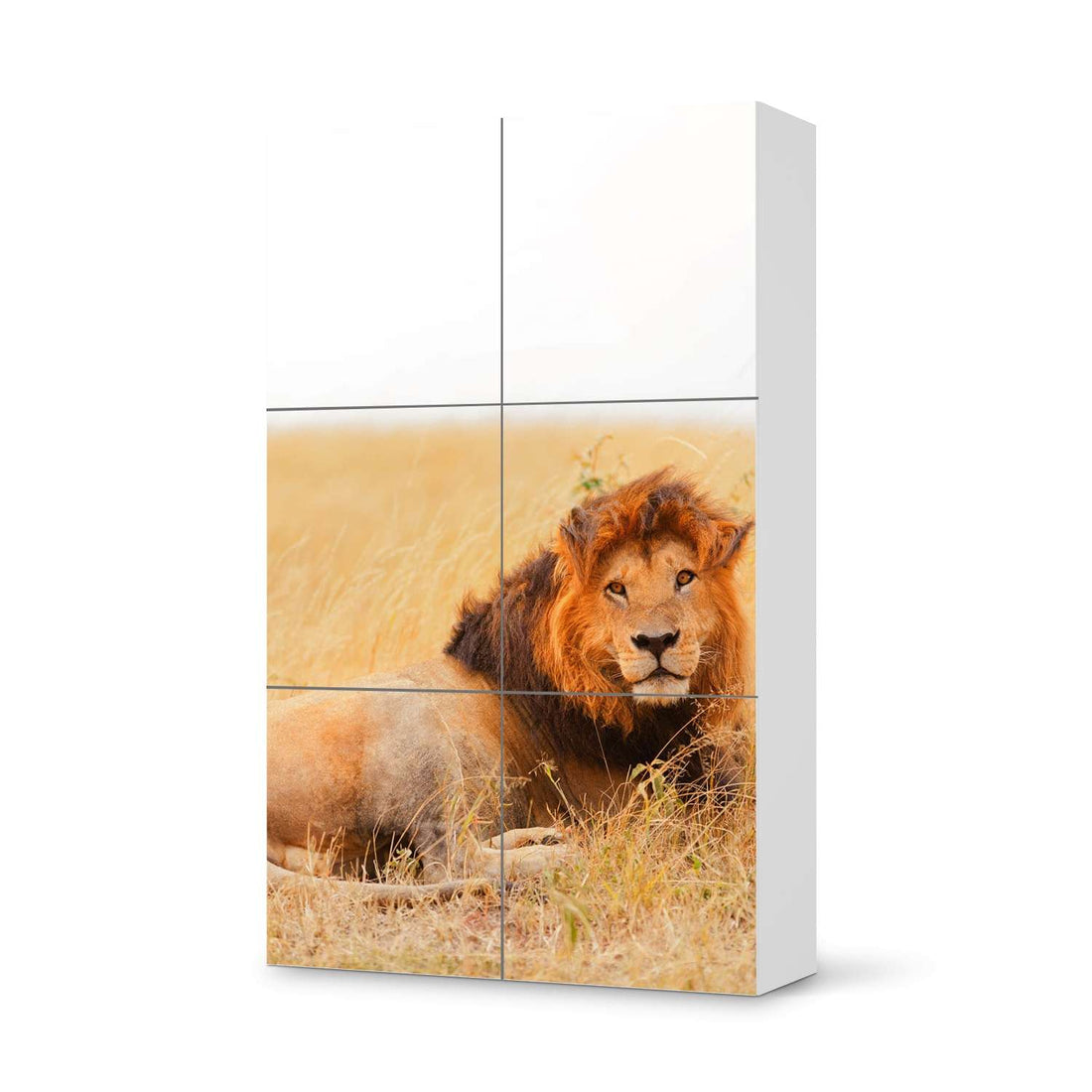 Möbel Klebefolie Lion King - IKEA Besta Schrank Hoch 6 Türen  - weiss