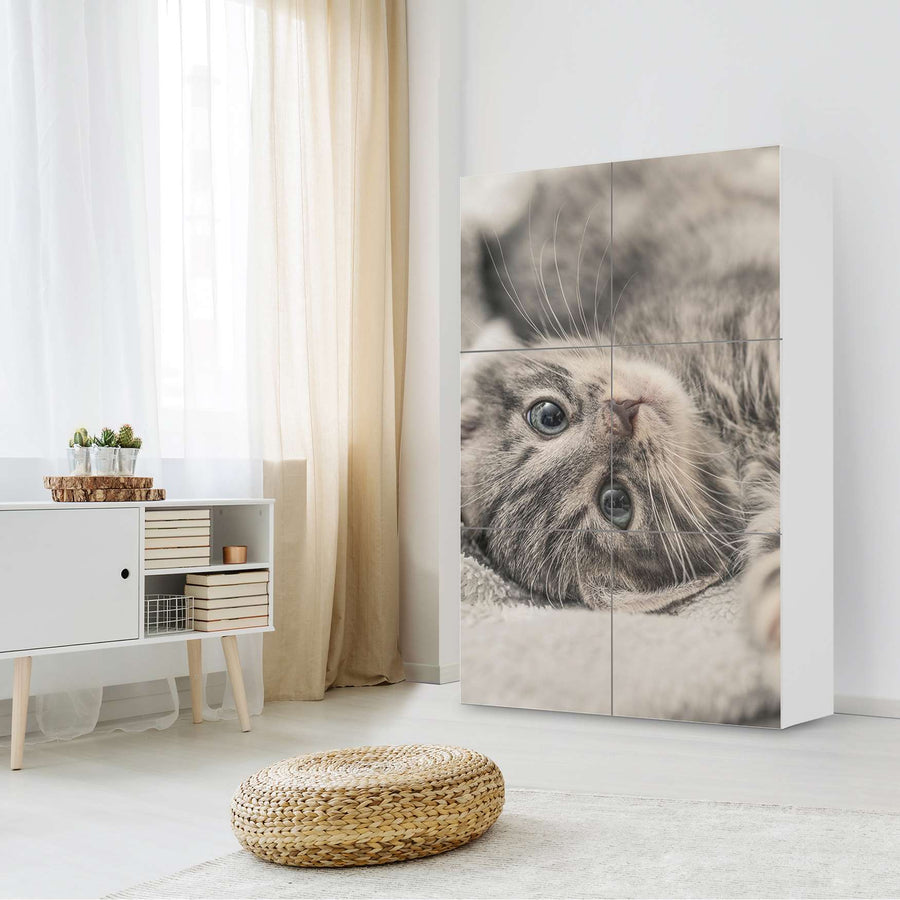 Möbel Klebefolie Kitty the Cat - IKEA Besta Schrank Hoch 6 Türen - Wohnzimmer