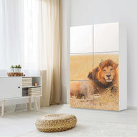 Möbel Klebefolie Lion King - IKEA Besta Schrank Hoch 6 Türen - Wohnzimmer