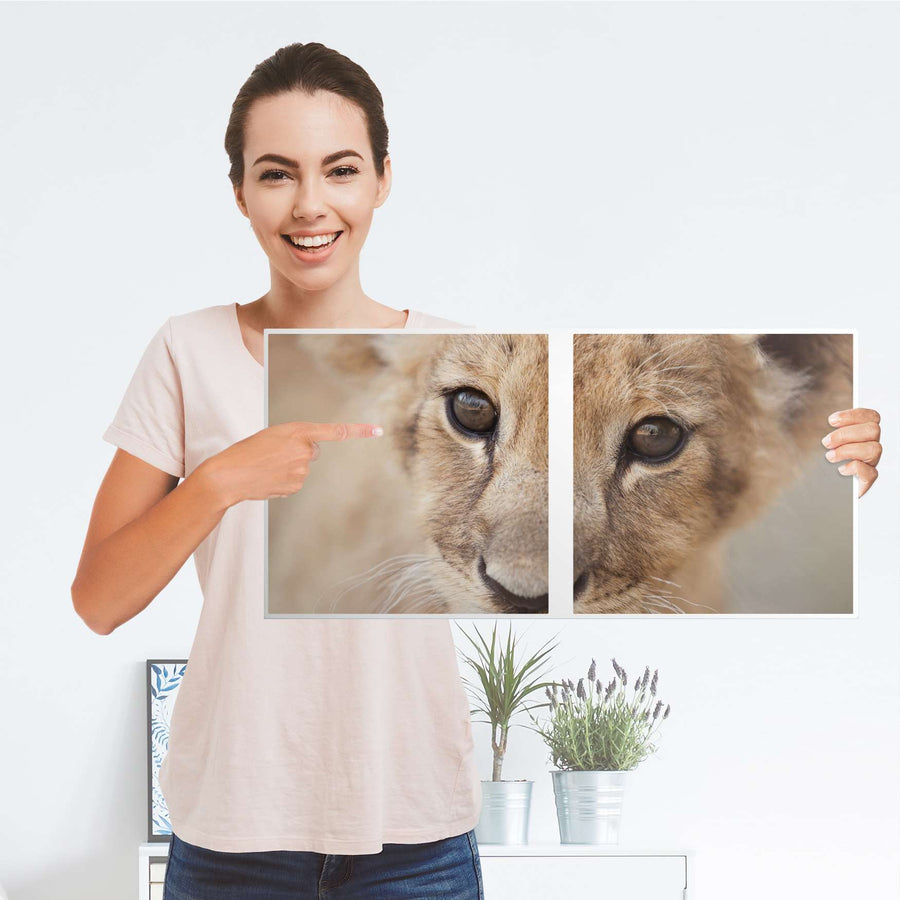 Möbel Klebefolie Simba - IKEA Expedit Regal 2 Türen Quer - Folie