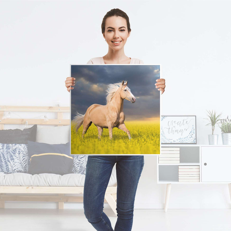 Möbel Klebefolie Wildpferd - IKEA Hemnes Beistelltisch 55x55 cm - Folie