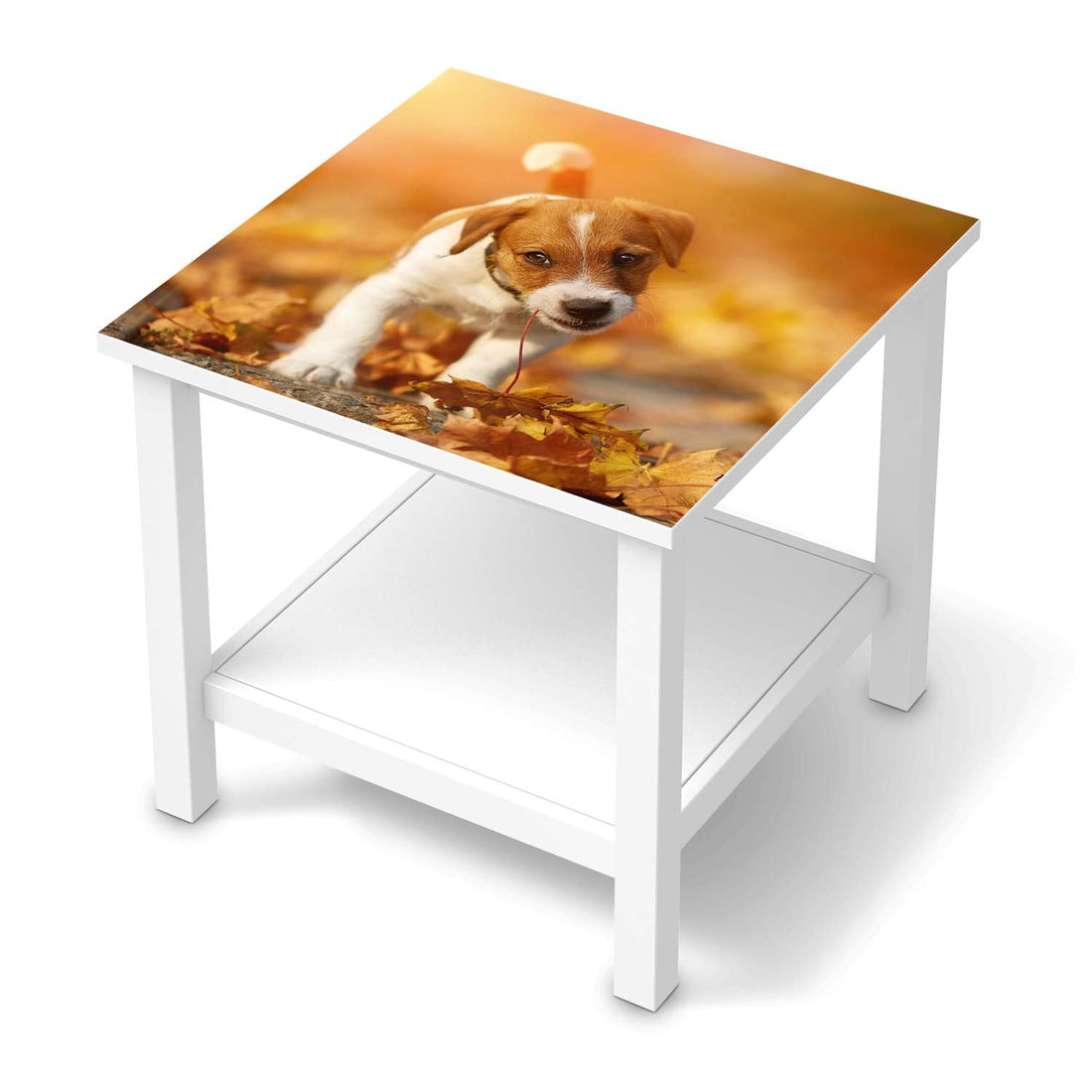 Möbel Klebefolie Jack the Puppy - IKEA Hemnes Beistelltisch 55x55 cm  - weiss