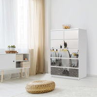 Möbel Klebefolie Penguin Family - IKEA Malm Kommode 6 Schubladen (hoch) - Schlafzimmer