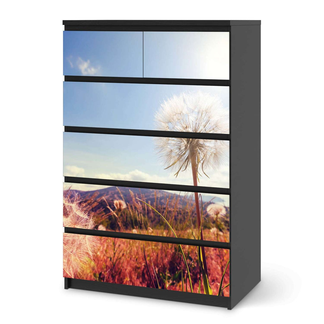 Möbel Klebefolie Dandelion - IKEA Malm Kommode 6 Schubladen (hoch) - schwarz
