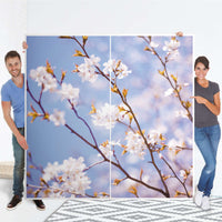 Möbel Klebefolie Apple Blossoms - IKEA Pax Schrank 201 cm Höhe - Schiebetür - Folie