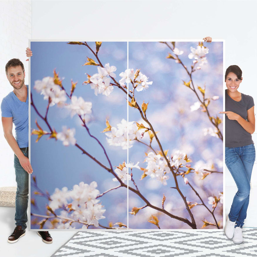 Möbel Klebefolie Apple Blossoms - IKEA Pax Schrank 201 cm Höhe - Schiebetür - Folie