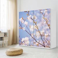 Möbel Klebefolie Apple Blossoms - IKEA Pax Schrank 201 cm Höhe - Schiebetür - Schlafzimmer