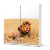 Möbel Klebefolie Lion King - IKEA Pax Schrank 201 cm Höhe - Schiebetür - weiss