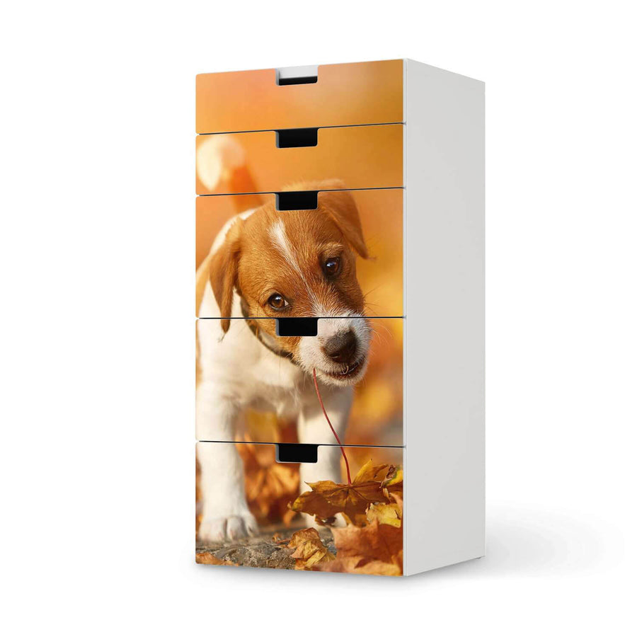 Möbel Klebefolie Jack the Puppy - IKEA Stuva Kommode - 5 Schubladen  - weiss