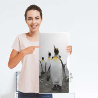 Möbelfolie Penguin Family - IKEA Alex Schrank - Folie
