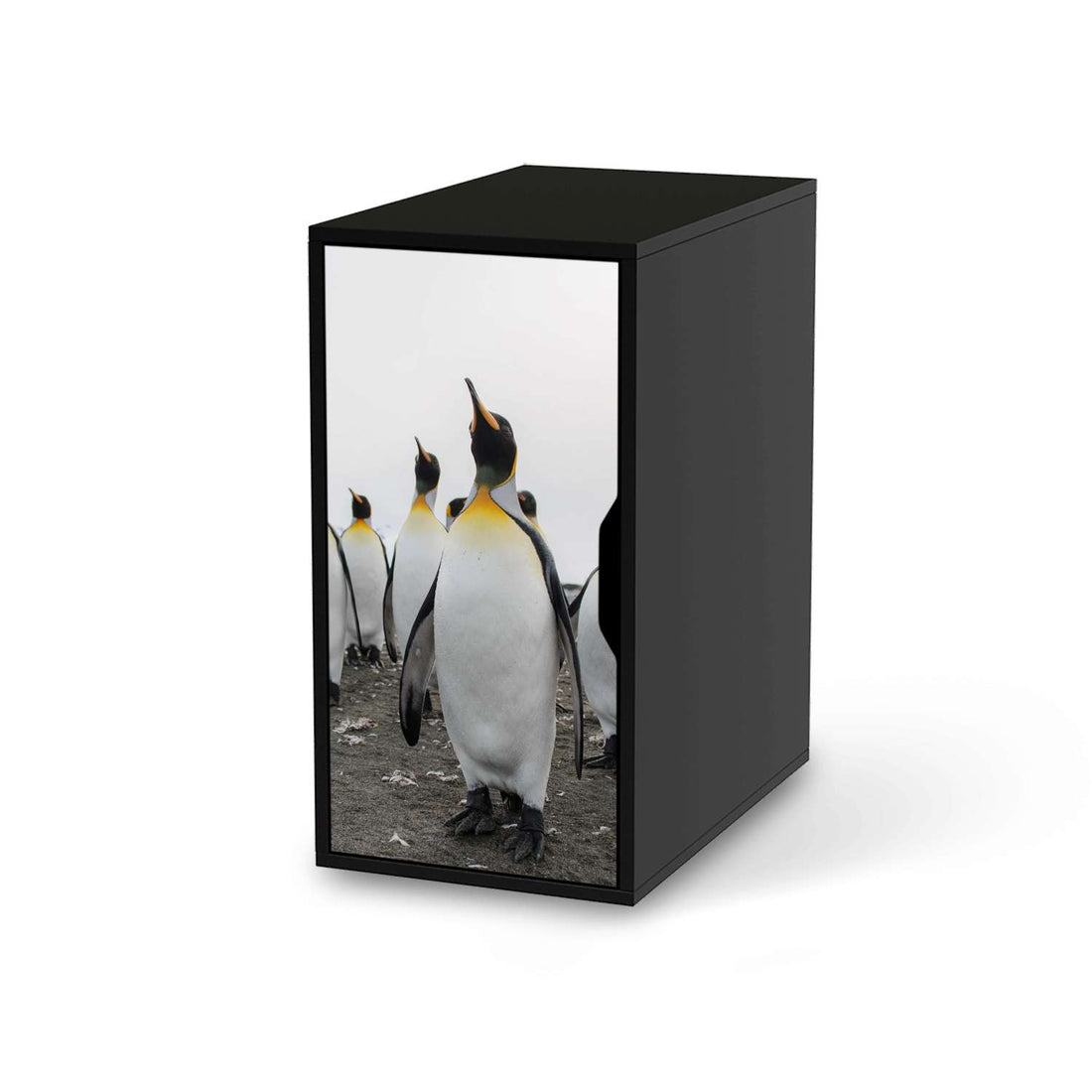 Möbelfolie Penguin Family - IKEA Alex Schrank - schwarz