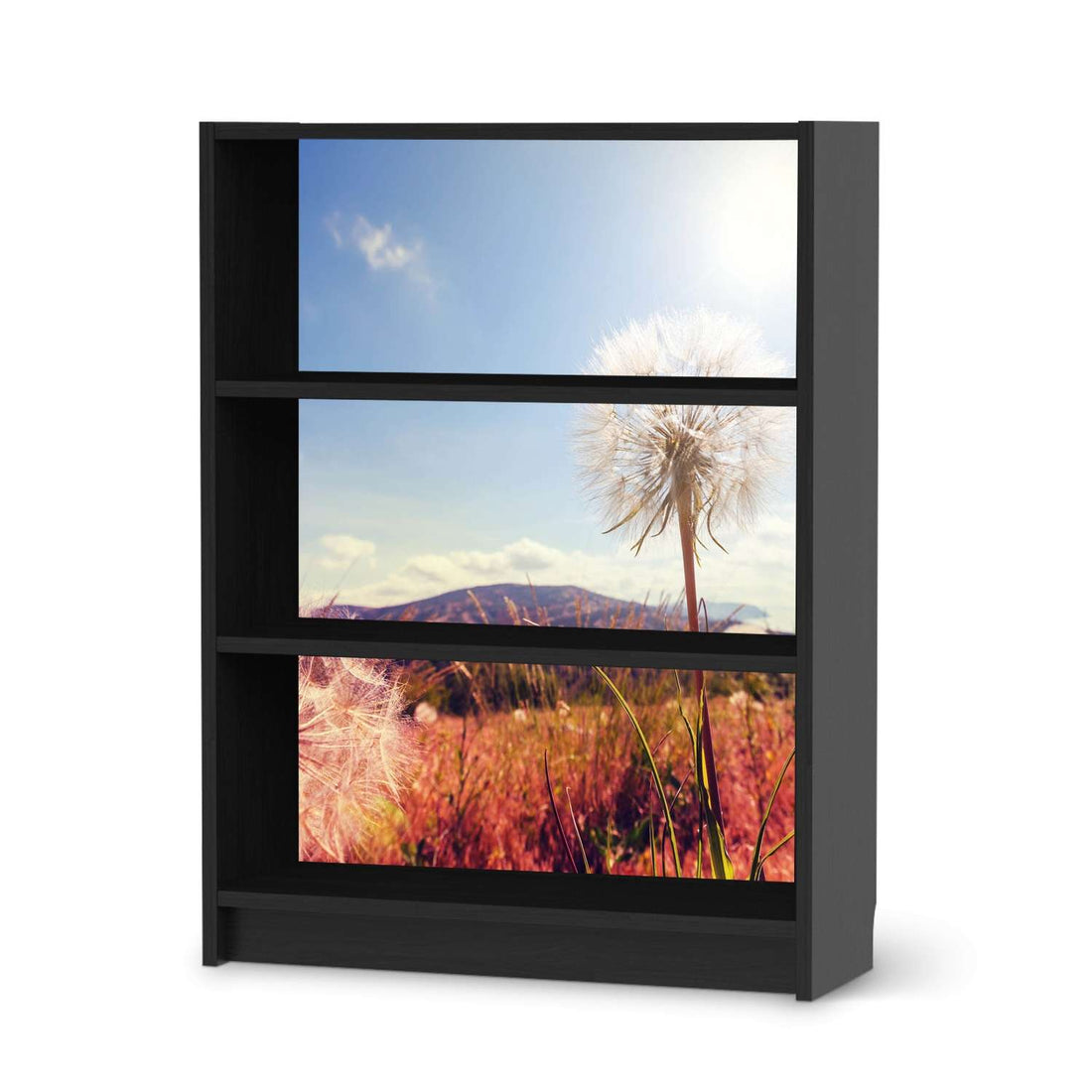 Möbelfolie Dandelion - IKEA Billy Regal 3 Fächer - schwarz