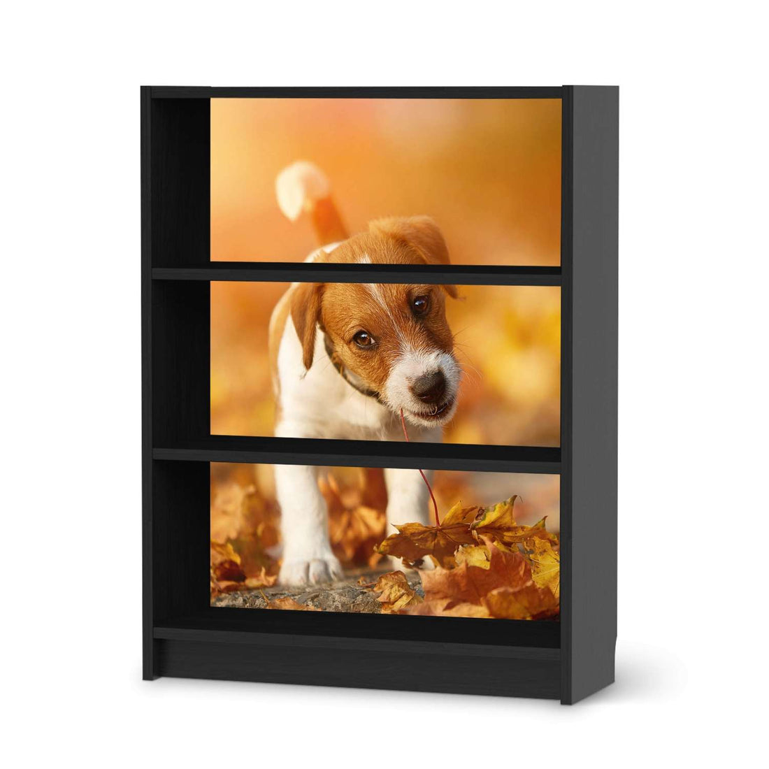 Möbelfolie Jack the Puppy - IKEA Billy Regal 3 Fächer - schwarz