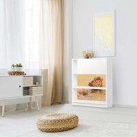 Möbelfolie Lion King - IKEA Billy Regal 3 Fächer - Wohnzimmer