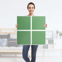 Möbelfolie Grün Light - IKEA Expedit Regal 4 Türen - Folie