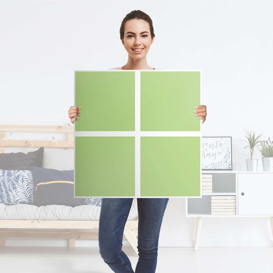 Möbelfolie Hellgrün Light - IKEA Expedit Regal 4 Türen - Folie