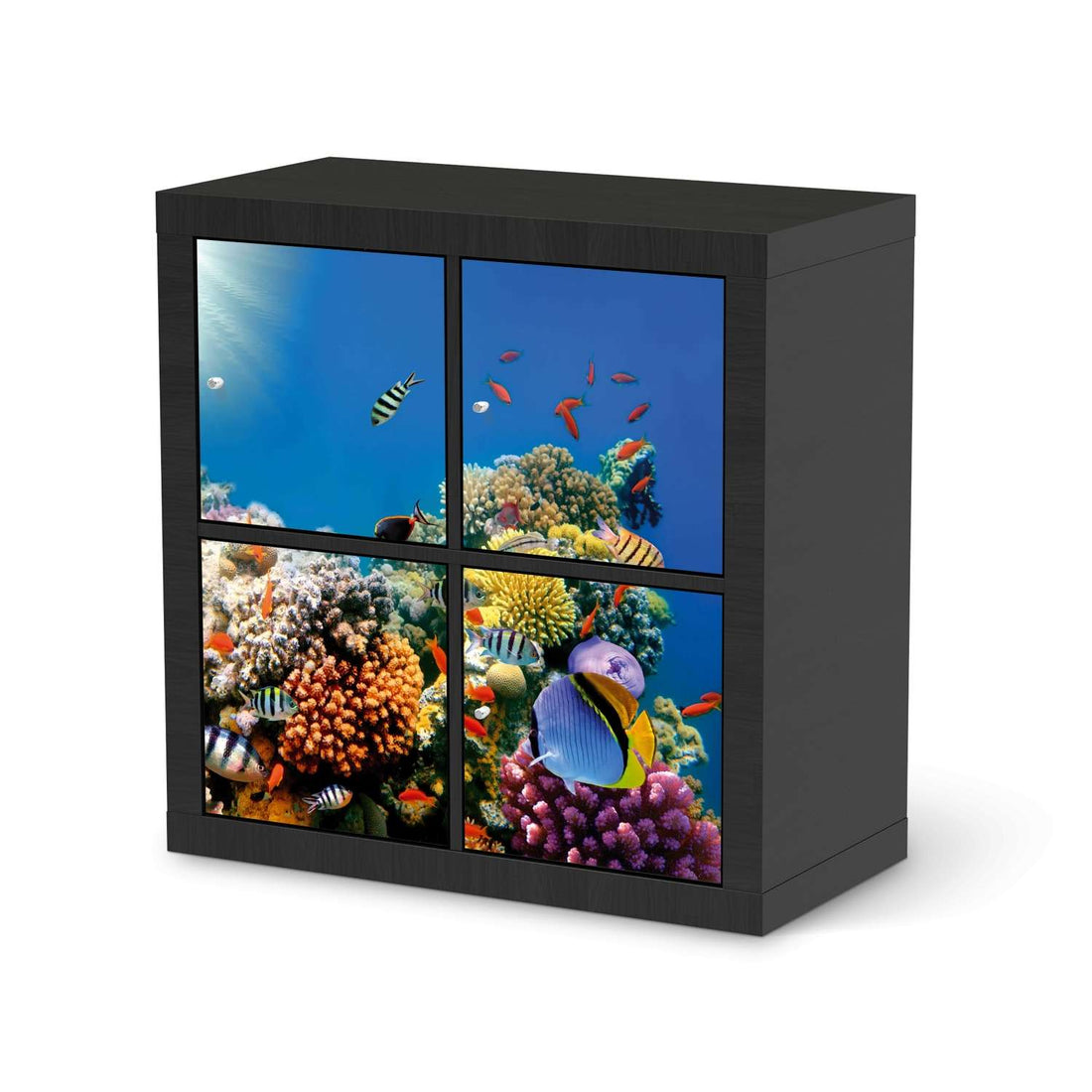 Möbelfolie Coral Reef - IKEA Expedit Regal 4 Türen - schwarz
