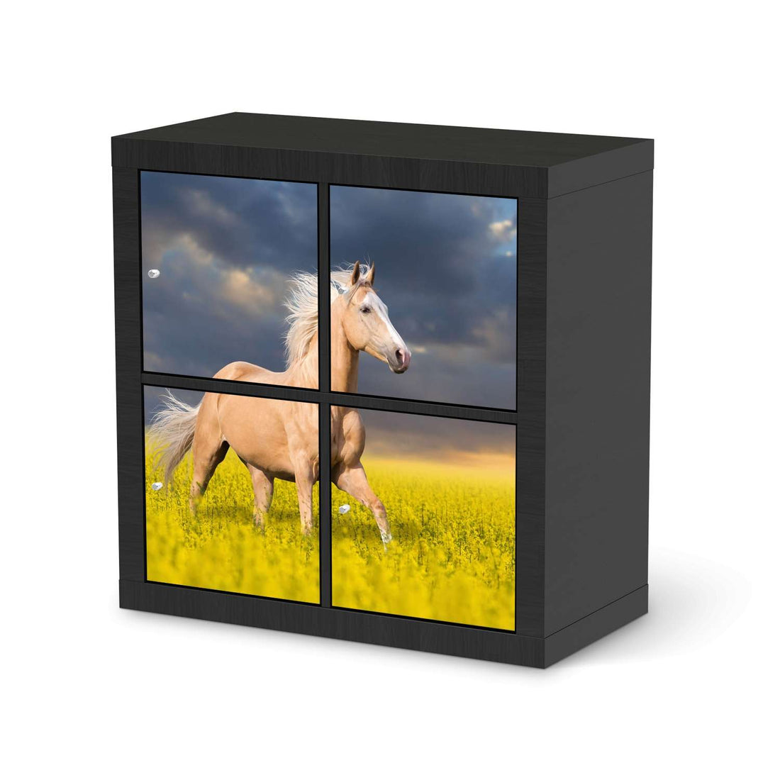 Möbelfolie Wildpferd - IKEA Expedit Regal 4 Türen - schwarz