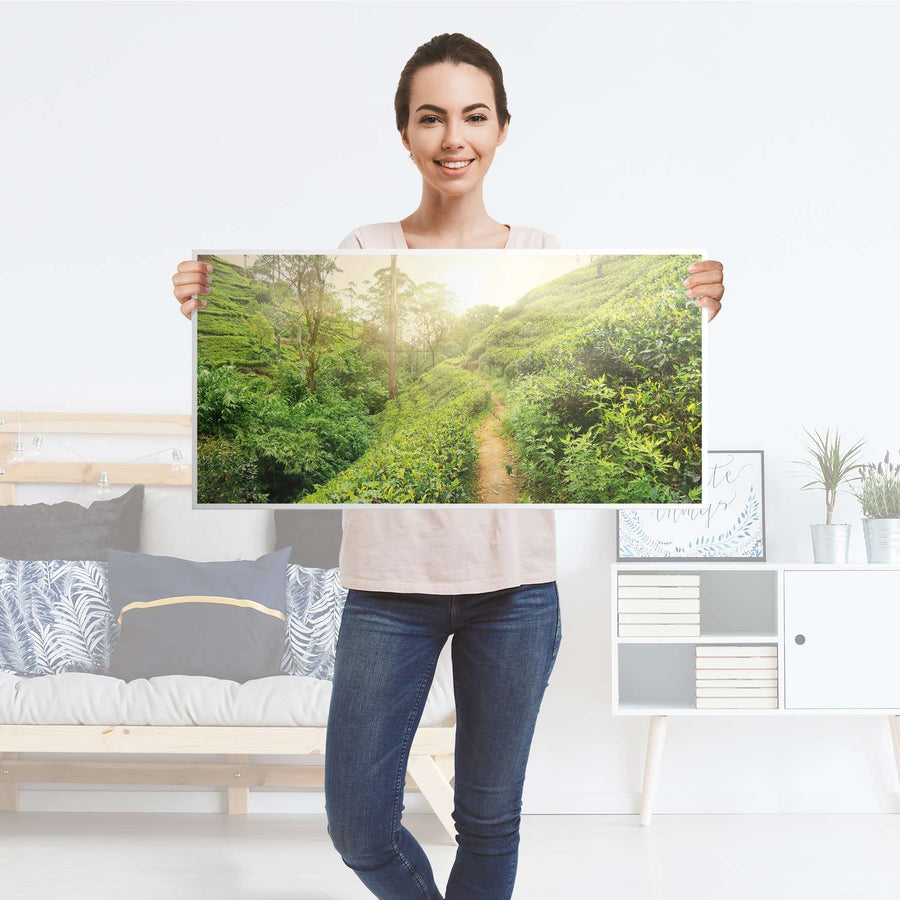 Möbelfolie Green Tea Fields - IKEA Expedit Regal [oben] - Folie