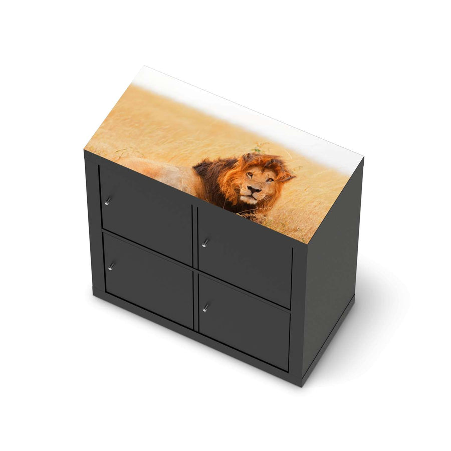 Möbelfolie Lion King - IKEA Expedit Regal [oben] - schwarz