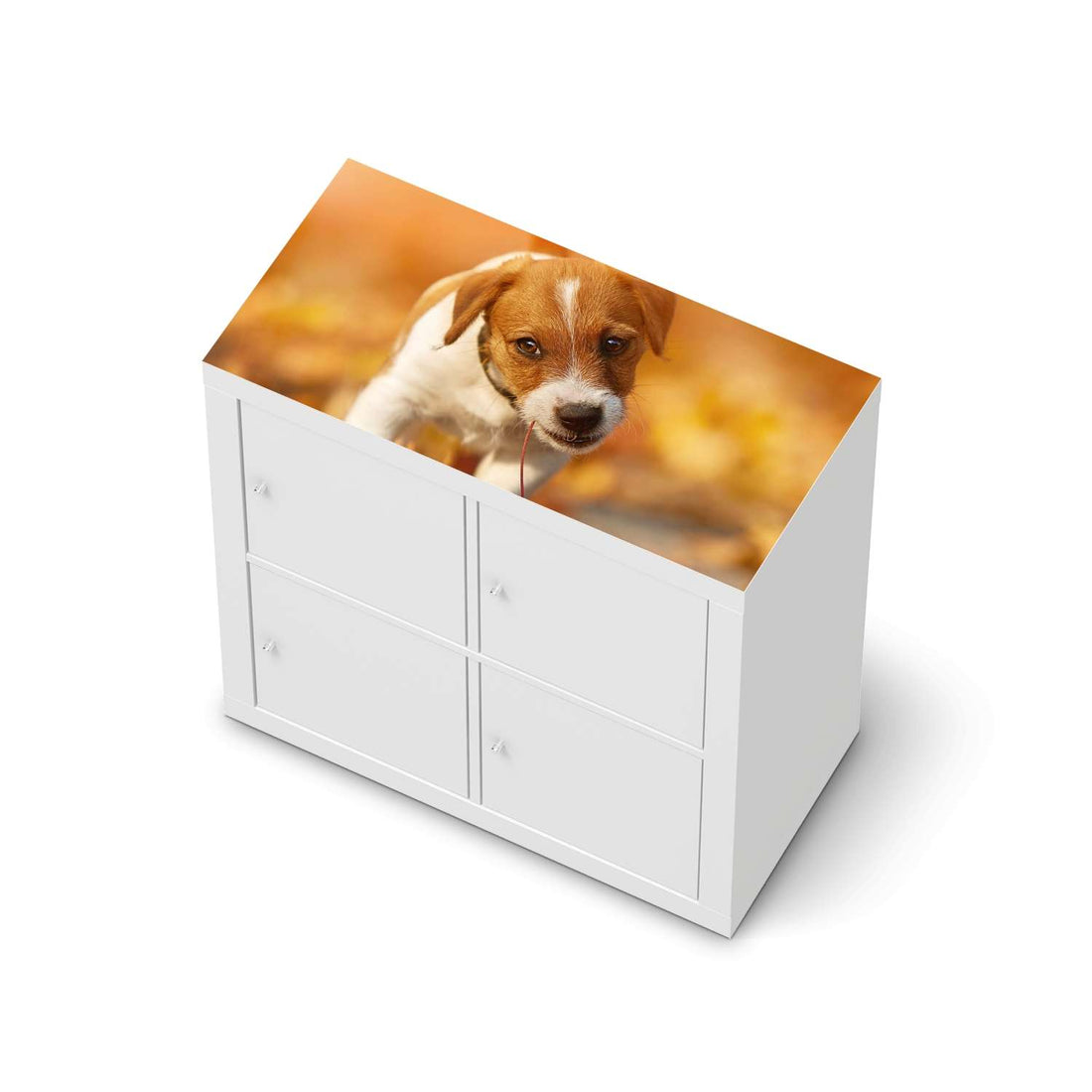 Möbelfolie Jack the Puppy - IKEA Expedit Regal [oben]  - weiss