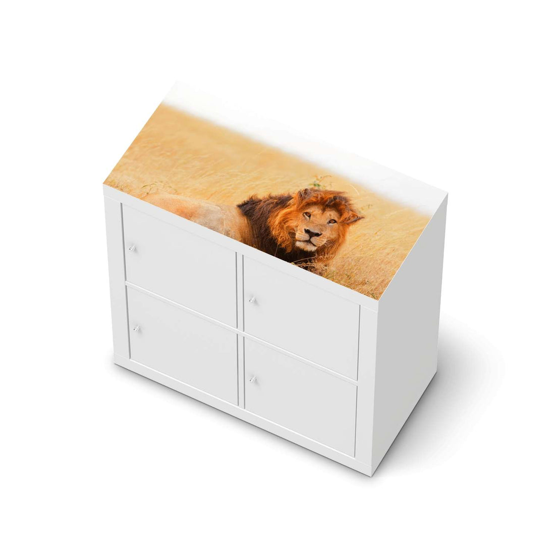 Möbelfolie Lion King - IKEA Expedit Regal [oben]  - weiss