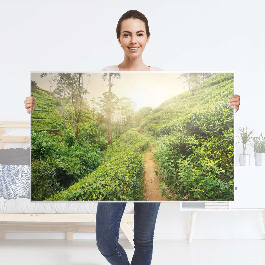 Möbelfolie Green Tea Fields - IKEA Hemnes Couchtisch 118x75 cm - Folie