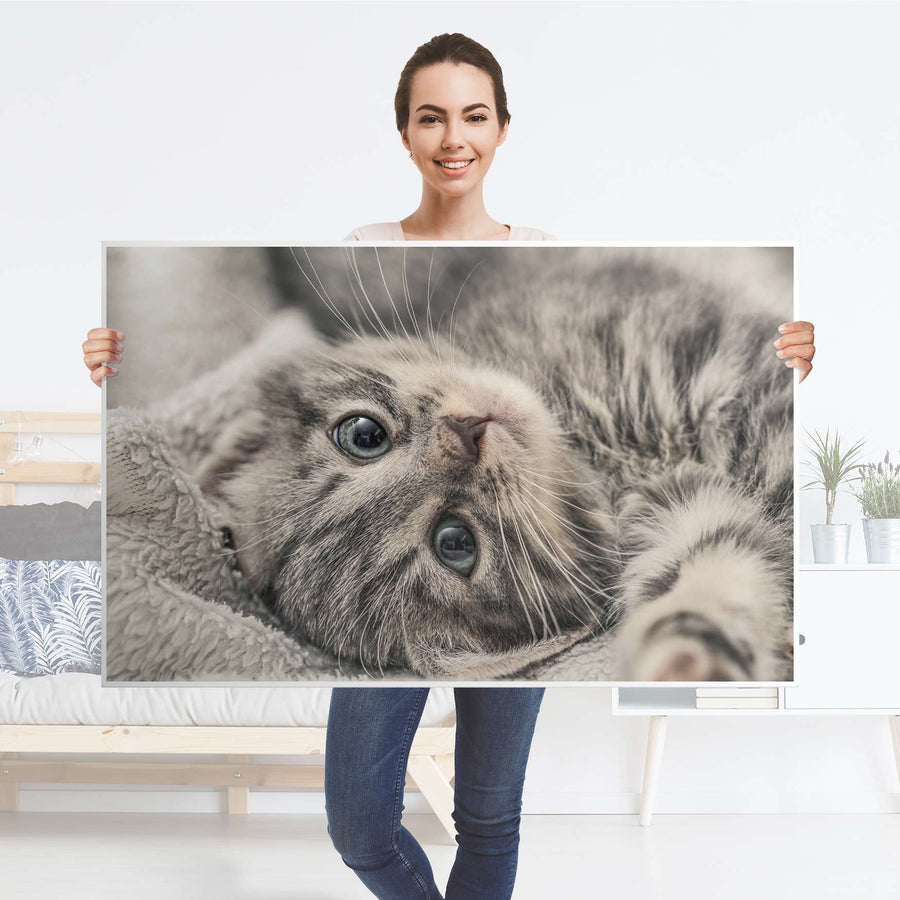 Möbelfolie Kitty the Cat - IKEA Hemnes Couchtisch 118x75 cm - Folie