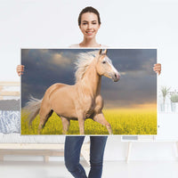 Möbelfolie Wildpferd - IKEA Hemnes Couchtisch 118x75 cm - Folie