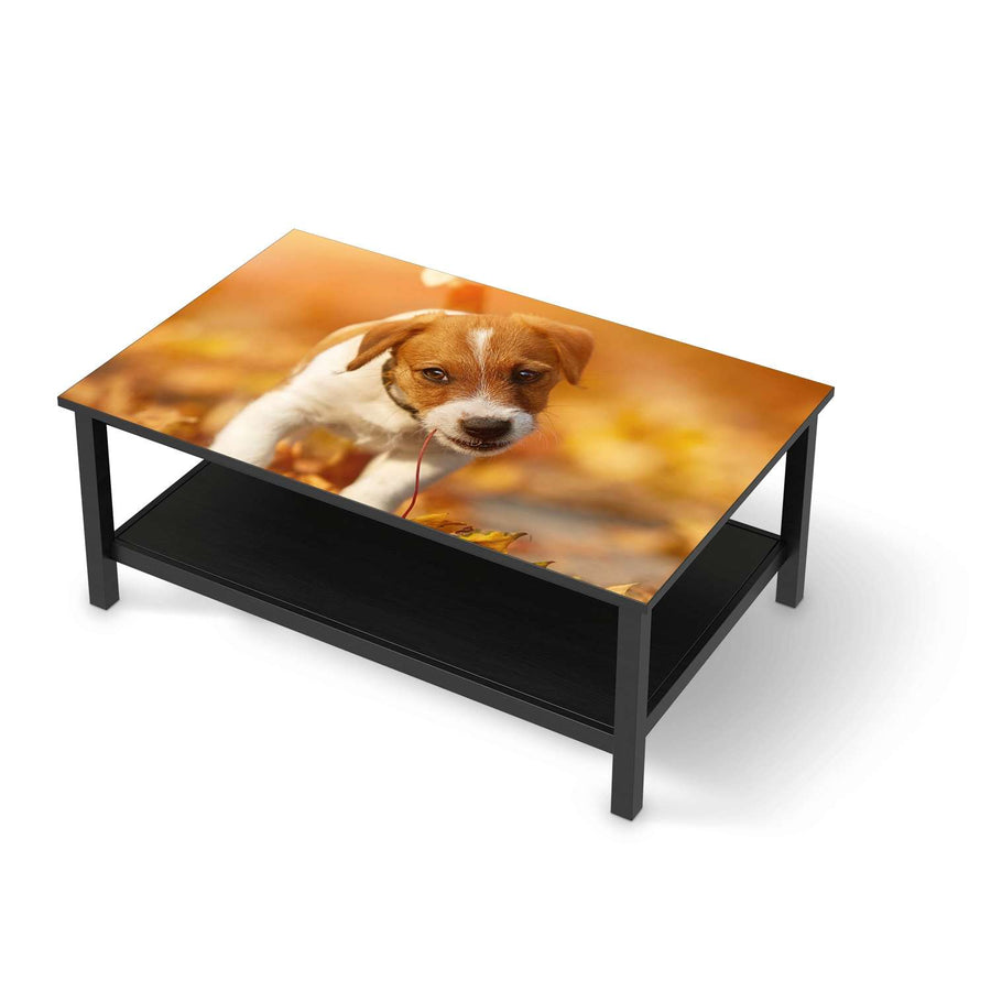 Möbelfolie Jack the Puppy - IKEA Hemnes Couchtisch 118x75 cm - schwarz