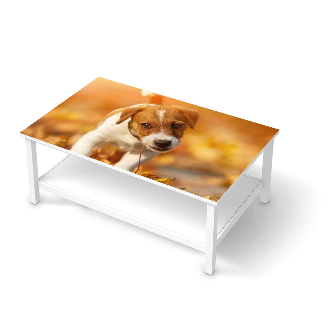 Möbelfolie Jack the Puppy - IKEA Hemnes Couchtisch 118x75 cm  - weiss