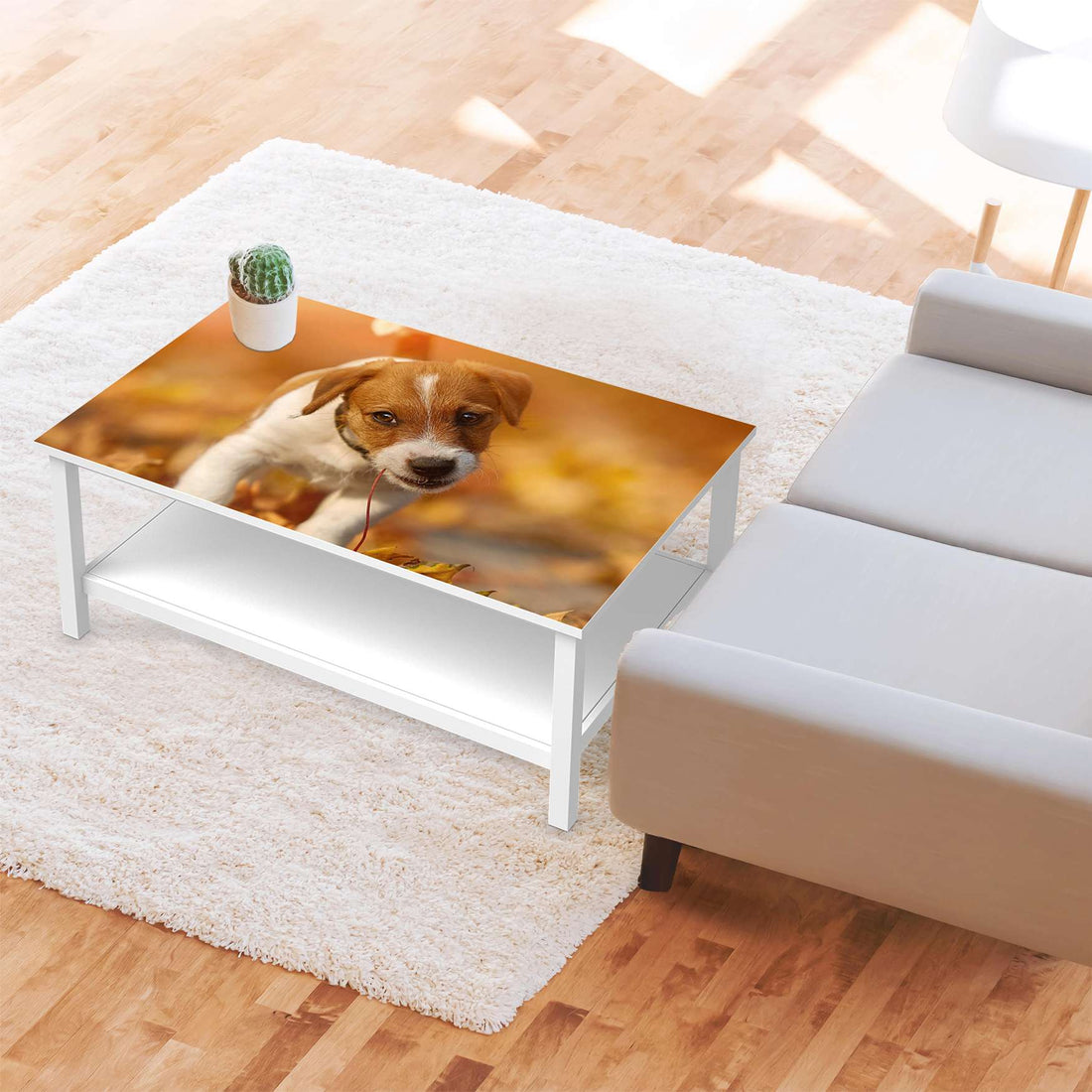 Möbelfolie Jack the Puppy - IKEA Hemnes Couchtisch 118x75 cm - Wohnzimmer
