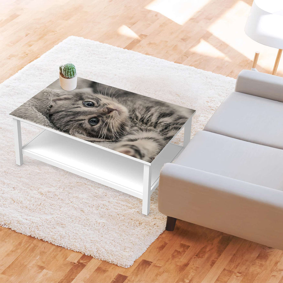 Möbelfolie Kitty the Cat - IKEA Hemnes Couchtisch 118x75 cm - Wohnzimmer