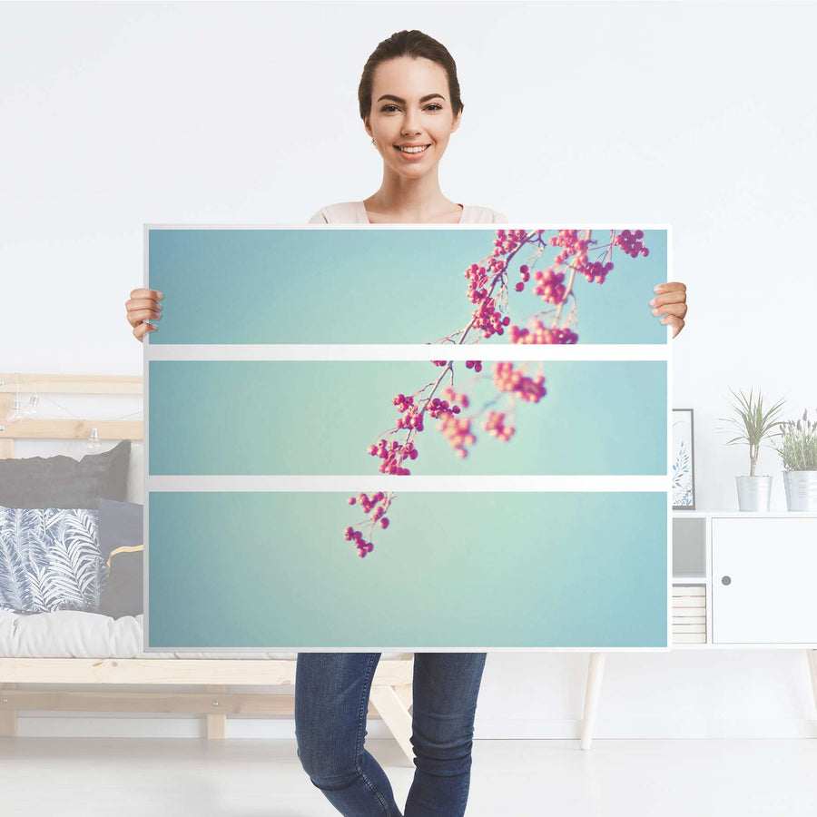 Möbelfolie Ikebana für Anfänger - IKEA Hemnes Kommode 3 Schubladen - Folie