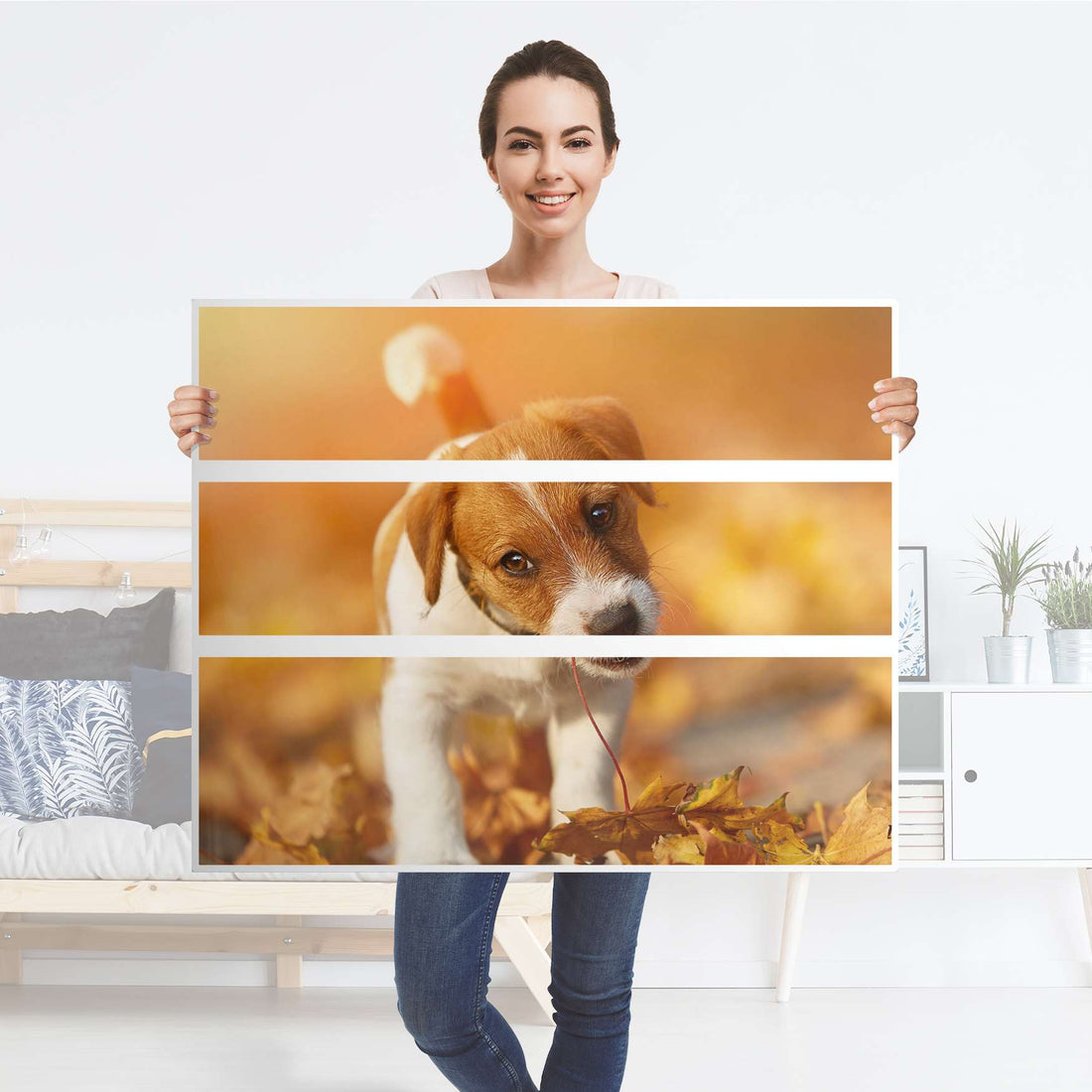 Möbelfolie Jack the Puppy - IKEA Hemnes Kommode 3 Schubladen - Folie