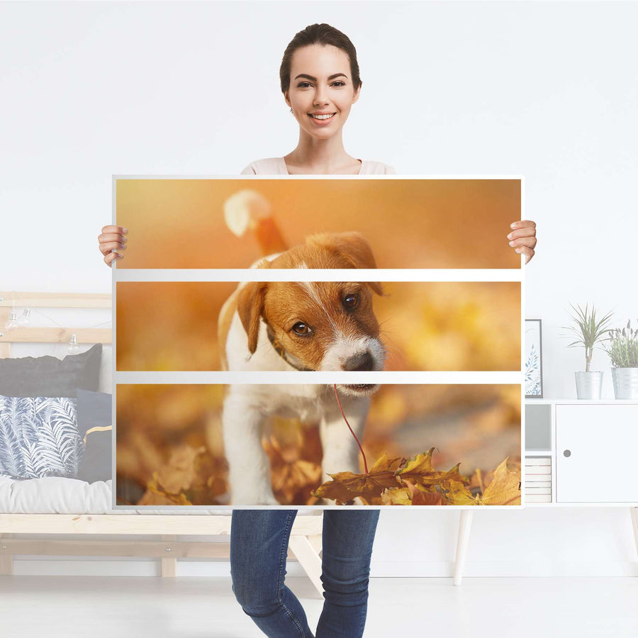 Möbelfolie Jack the Puppy - IKEA Hemnes Kommode 3 Schubladen - Folie