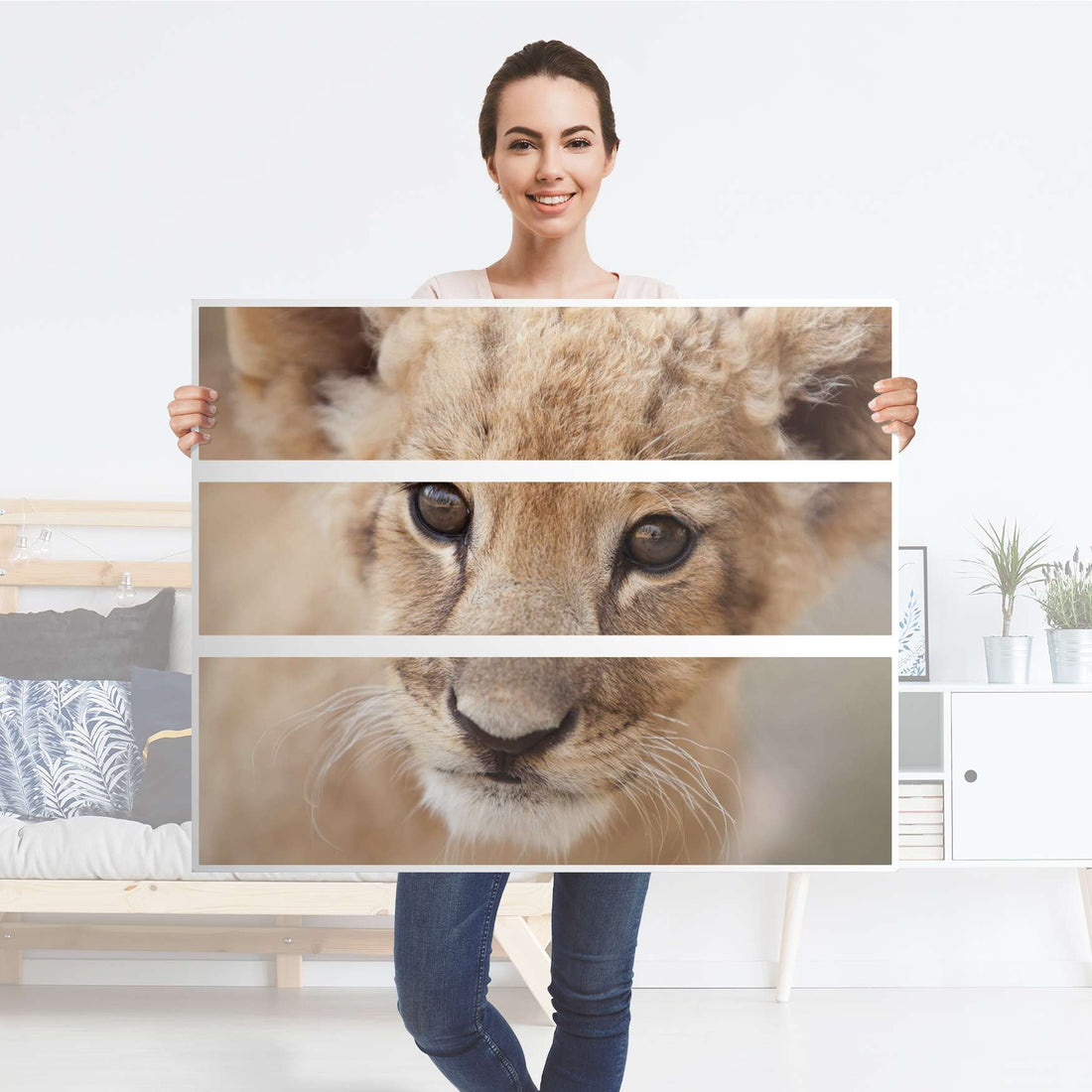 Möbelfolie Simba - IKEA Hemnes Kommode 3 Schubladen - Folie