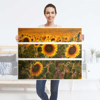 Möbelfolie Sunflowers - IKEA Hemnes Kommode 3 Schubladen - Folie