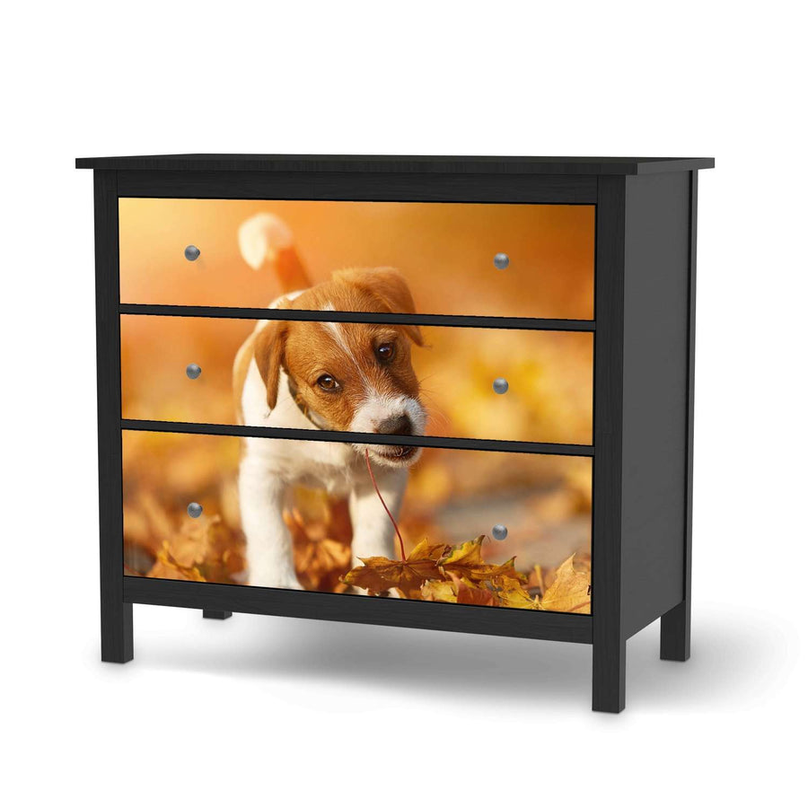Möbelfolie Jack the Puppy - IKEA Hemnes Kommode 3 Schubladen - schwarz