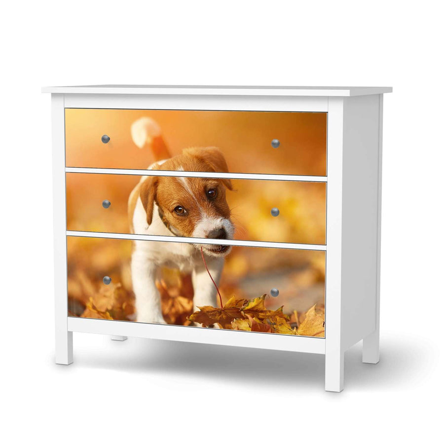 Möbelfolie Jack the Puppy - IKEA Hemnes Kommode 3 Schubladen  - weiss