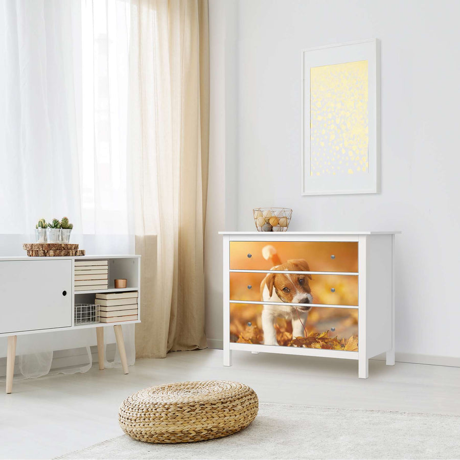 Möbelfolie Jack the Puppy - IKEA Hemnes Kommode 3 Schubladen - Wohnzimmer