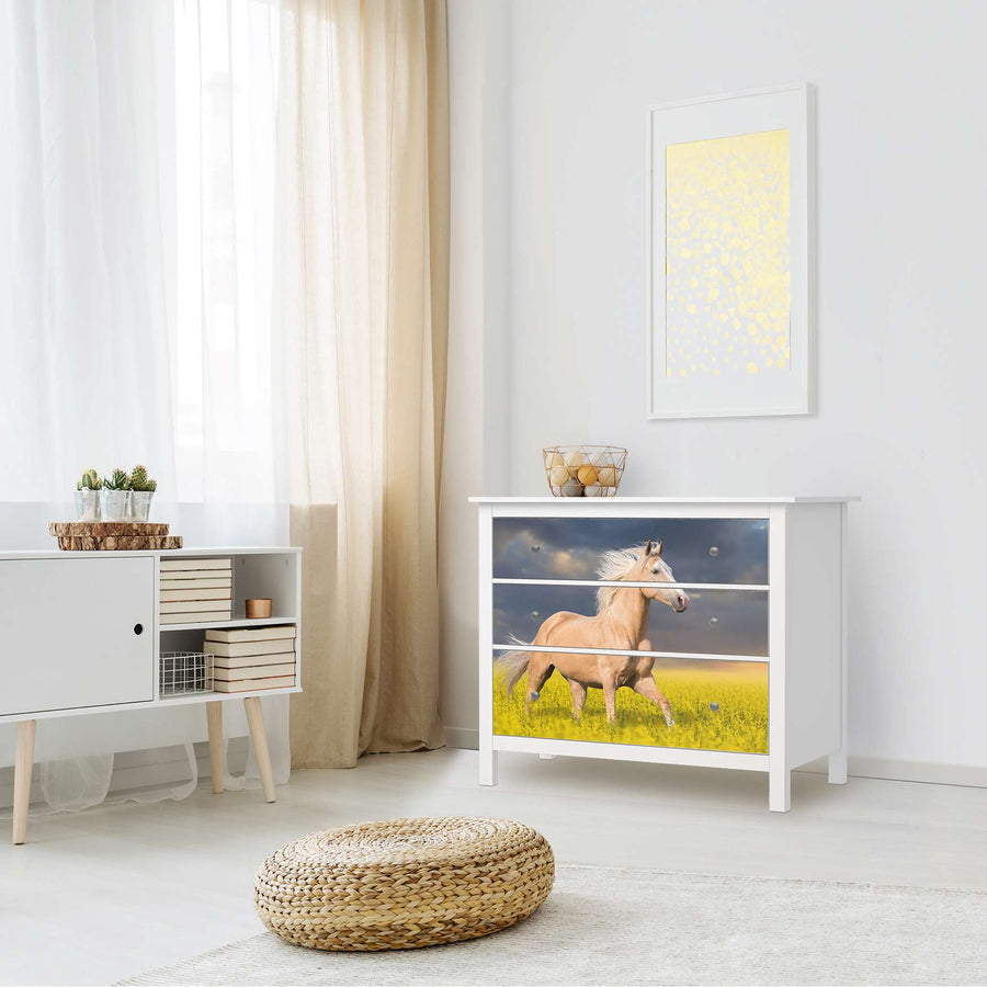 Möbelfolie Wildpferd - IKEA Hemnes Kommode 3 Schubladen - Wohnzimmer