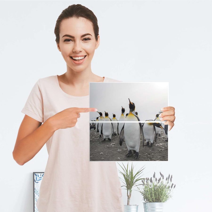 Möbelfolie IKEA Penguin Family - IKEA Expedit Regal Schubladen - Folie