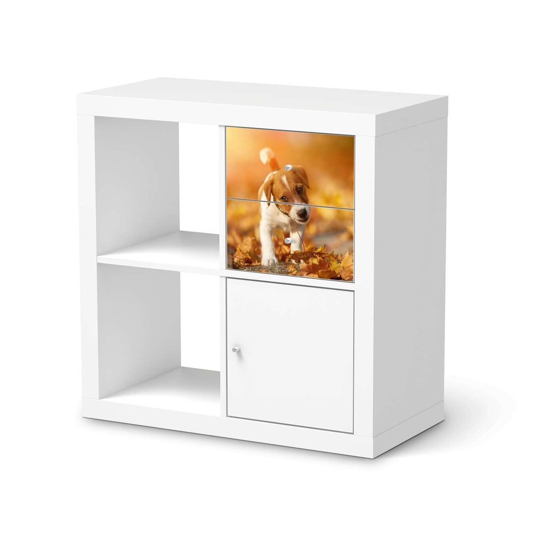 Möbelfolie IKEA Jack the Puppy - IKEA Expedit Regal Schubladen  - weiss