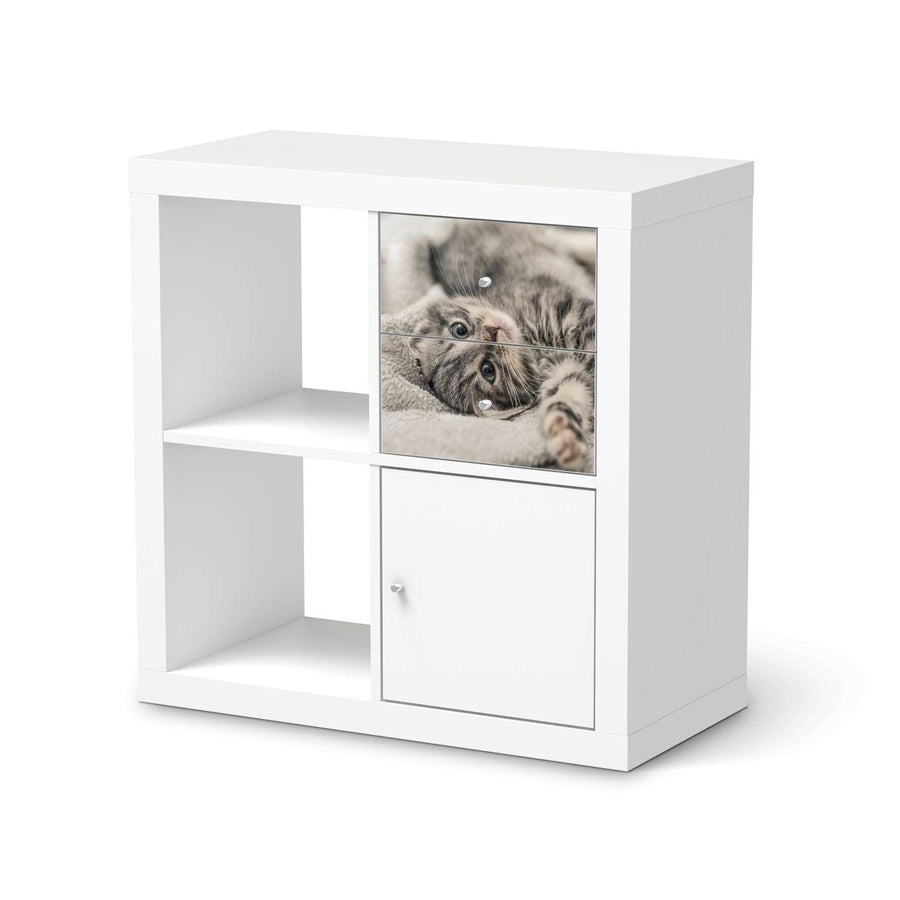 Möbelfolie IKEA Kitty the Cat - IKEA Expedit Regal Schubladen  - weiss