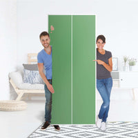 Möbelfolie IKEA Grün Light - IKEA Pax Schrank 236 cm Höhe - 2 Türen - Folie