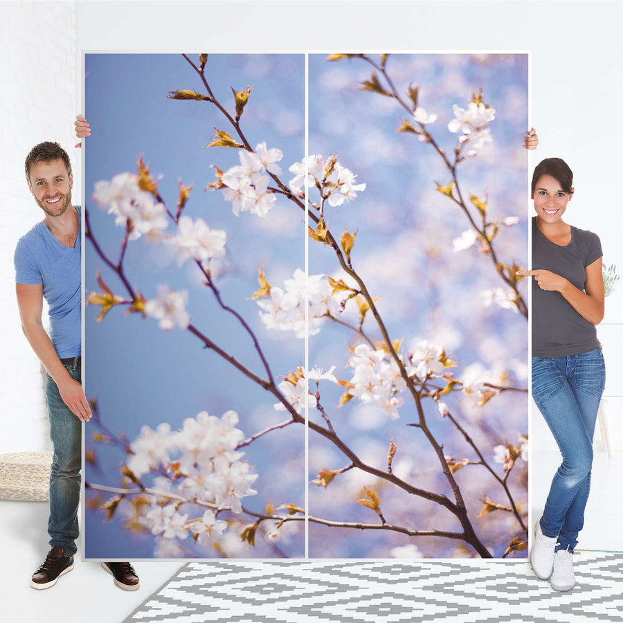 Möbelfolie IKEA Apple Blossoms - IKEA Pax Schrank 236 cm Höhe - Schiebetür - Folie
