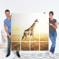 Möbelfolie Savanna Giraffe - IKEA Kallax Regal 16 Türen - Folie